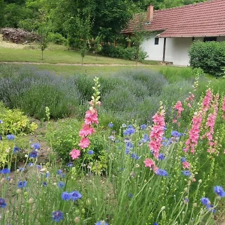 Lägenhet Orgona Haz *