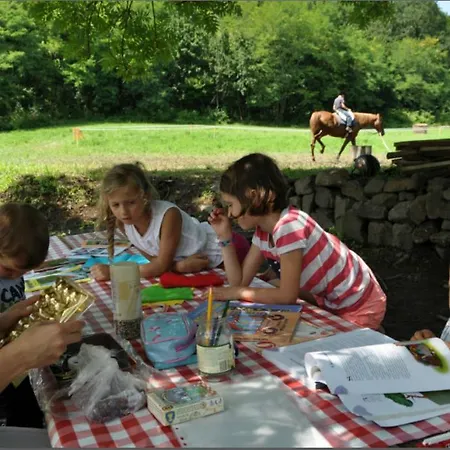 Orgona Haz * Szécsény